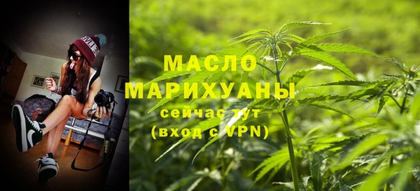 гашик Дмитровск