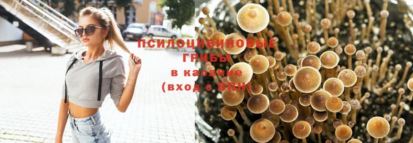дживик Алексин